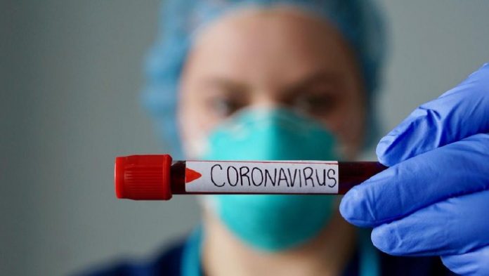 WHO selidiki asal-usul virus corona