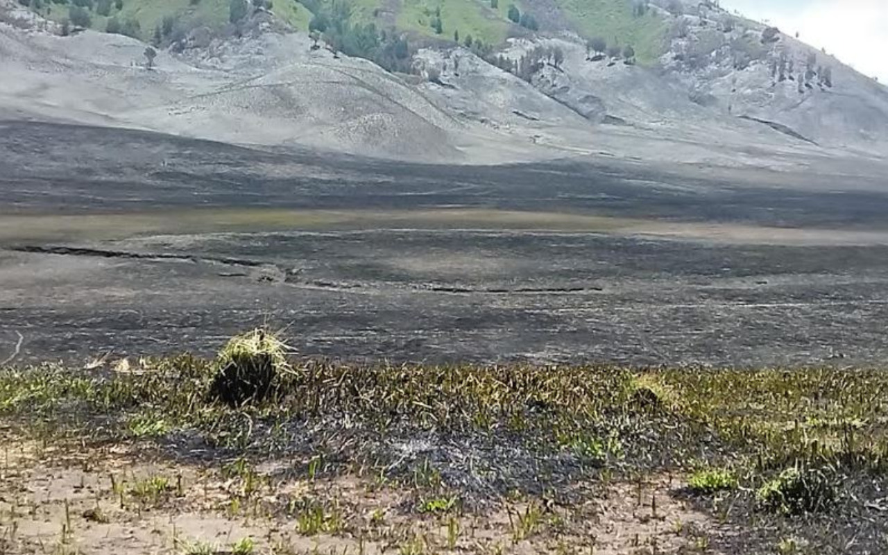 Kerugian Akibat Kebakaran Gunung Bromo Capai Rp5,4 Miliar